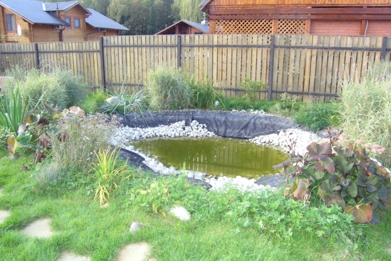 Делаем пруд с водопадом и альпийской горкой собственными руками