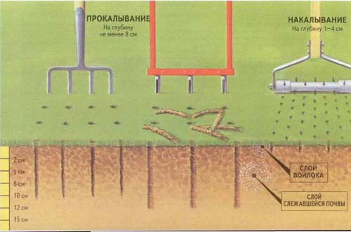 Прокалывание газона