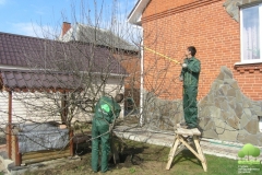 Садовники обрезают деревья