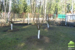 pobelka-8