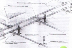 bl-shempol-1